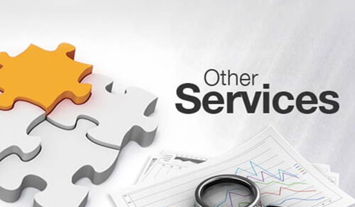 Other Services